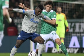 金年会app-关于沙尔克遭遇失利，球迷忧心球队前途的信息