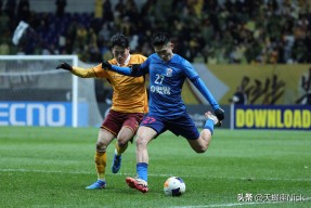 金年会app-上海申花对河北华夏幸福