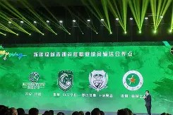 金年会官网-甘冈队在比赛中表现出色，击败斯特拉斯堡队