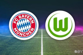 金年会官网首页-沃尔夫斯堡大胜，取得赛季首场客场胜利的简单介绍